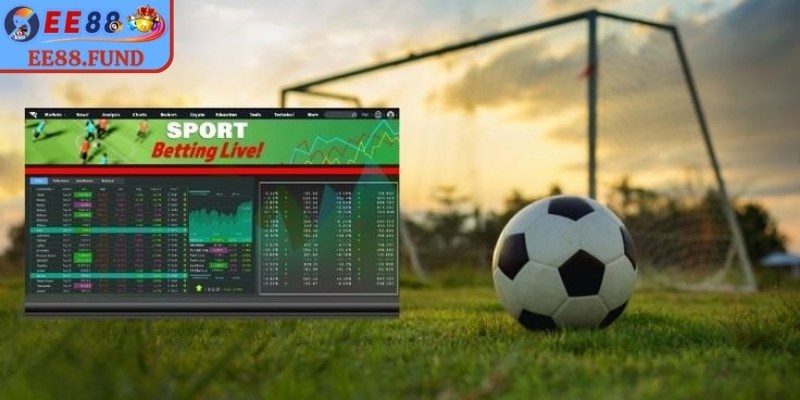 Một số kèo cược phổ biến