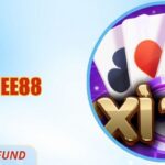 Xì Tố EE88 – Luật Chơi Dễ Nắm, Nhịp Vận Hành Ổn Định